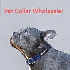 Streamlining Your Collar Supply Chain